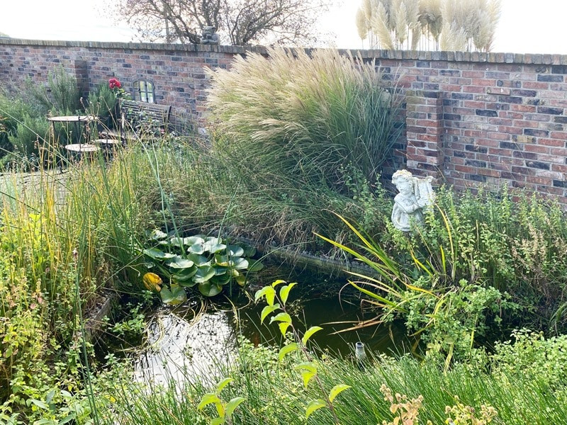 Gartenimpressionen