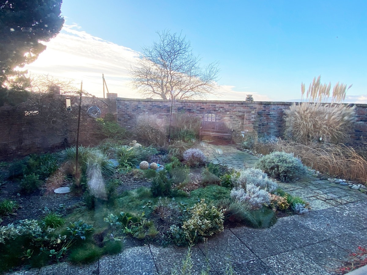 Blick in den Garten