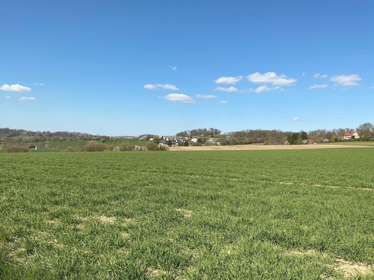Panoramafernblick