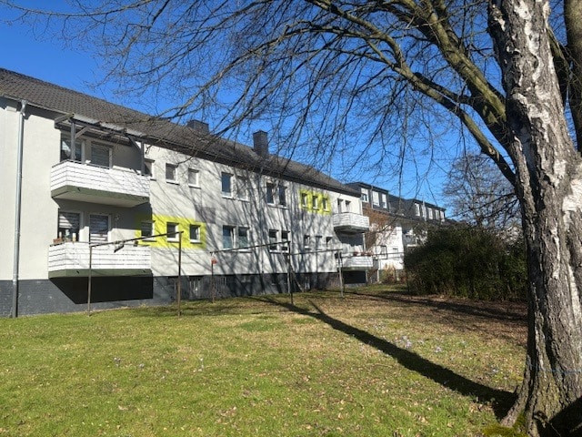 Rückansicht-2