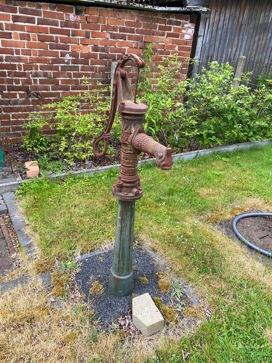 Gartenimpressionen