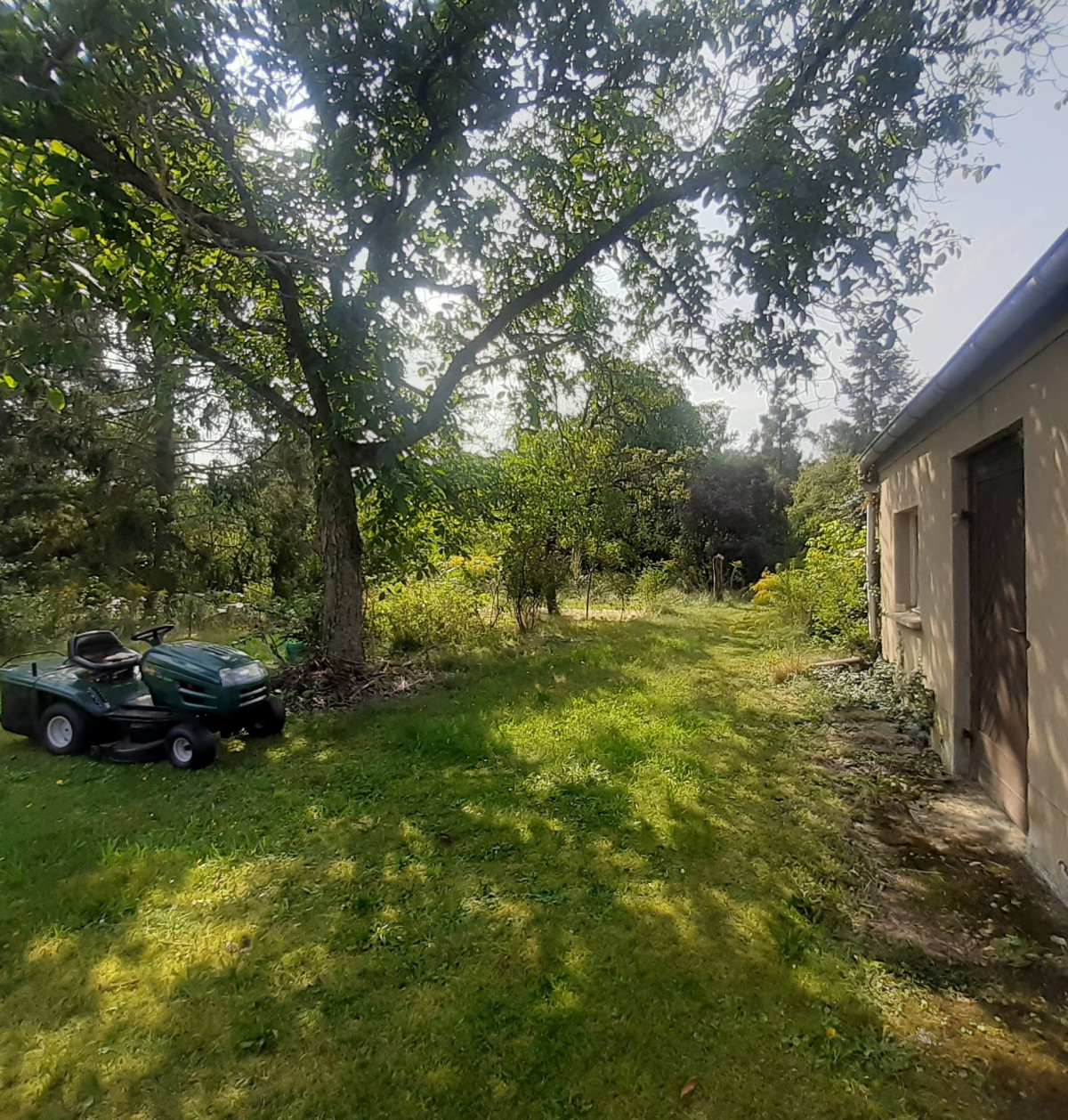 Blick in den Garten