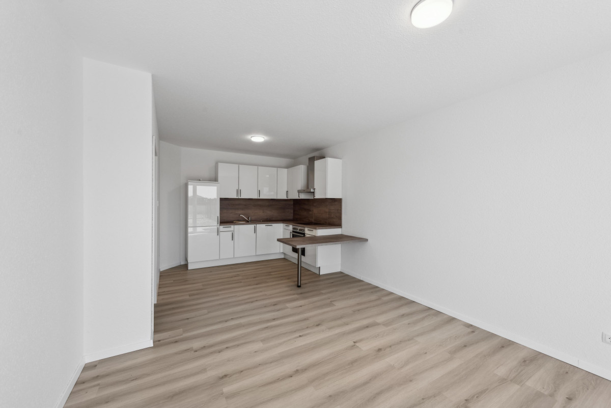 Wohnzimmer / Küche