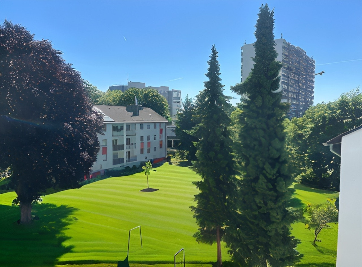 Blick in den grünen Garten