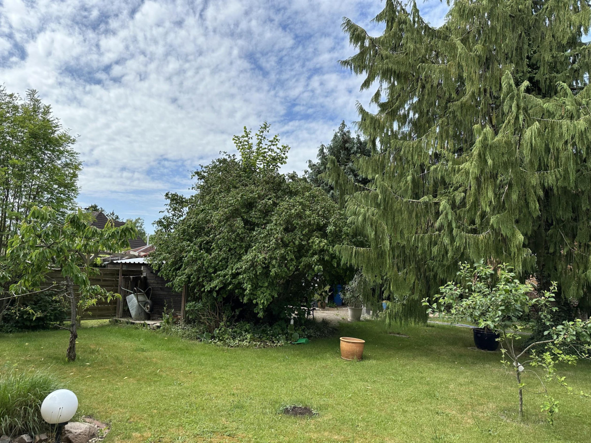 Garten