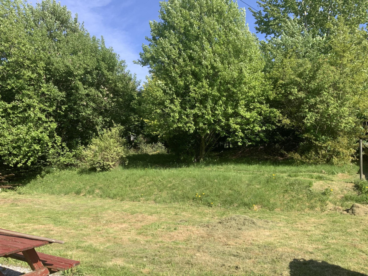Blick in den Garten