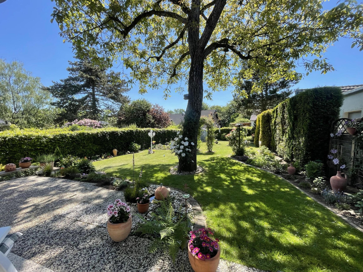 Terrasse und Garten