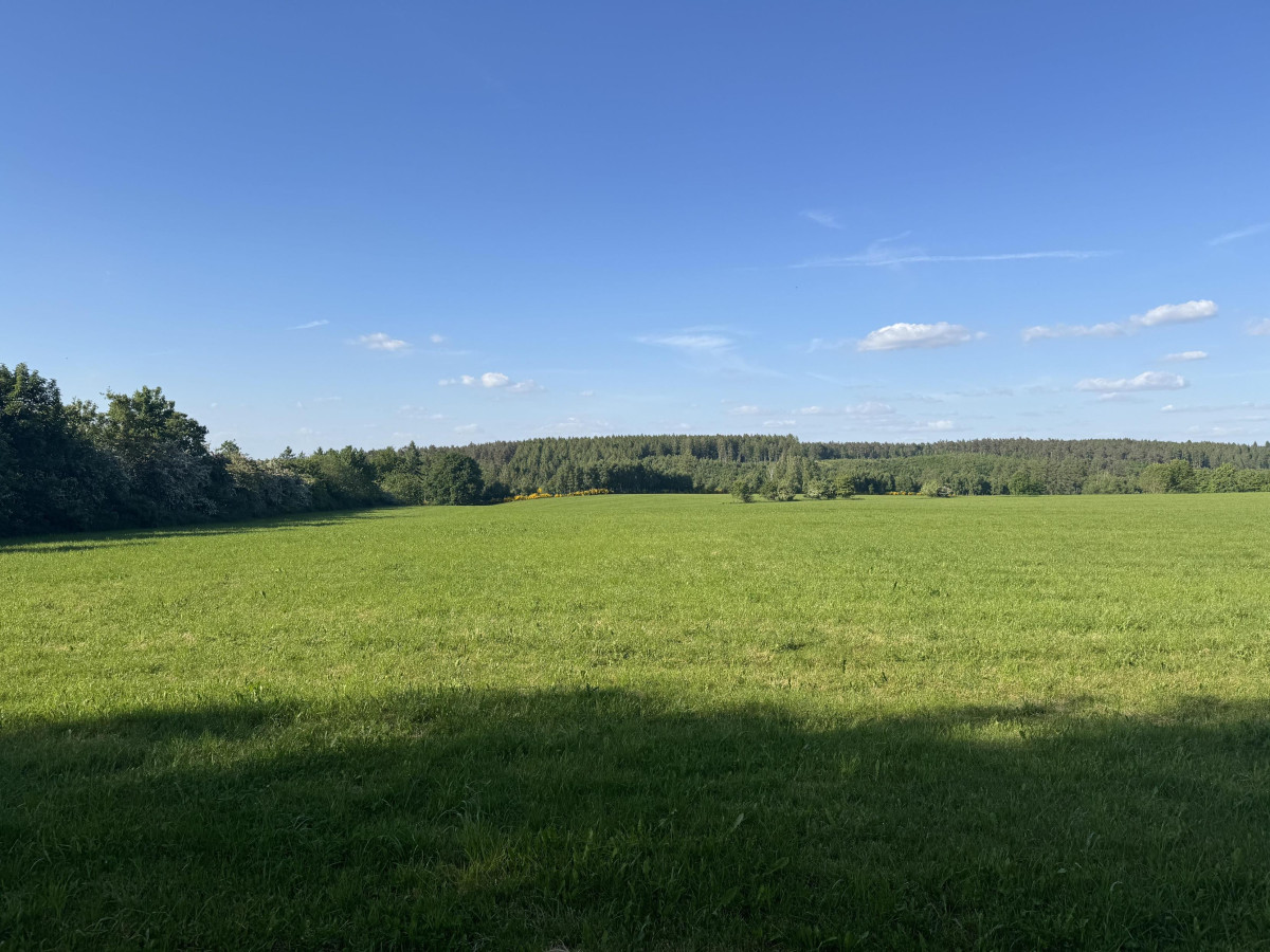 Land