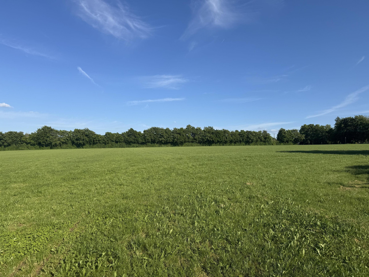 Land