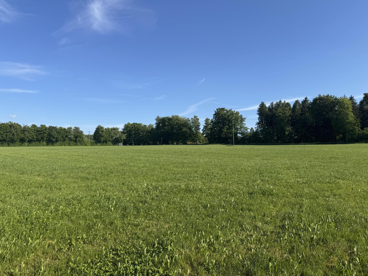 Land