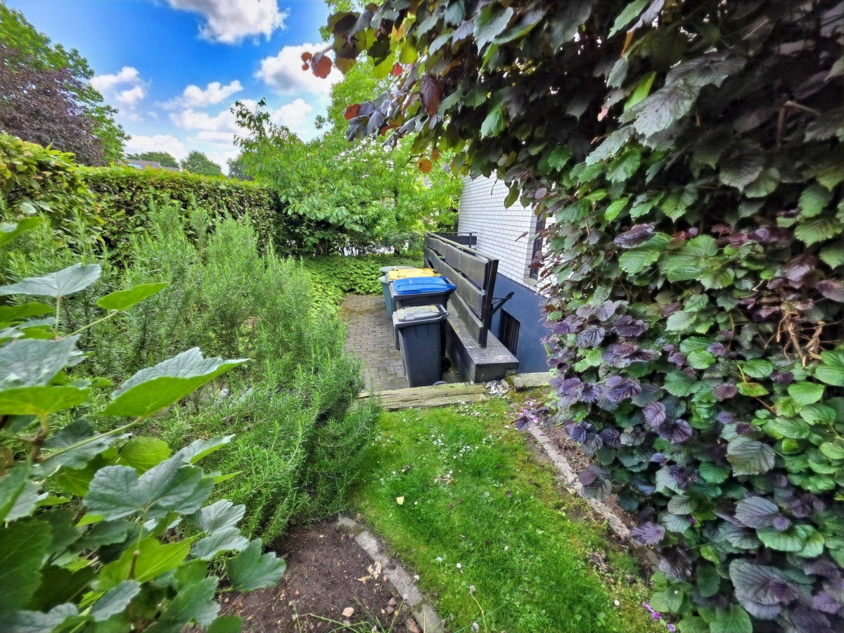 seitliche Ansicht