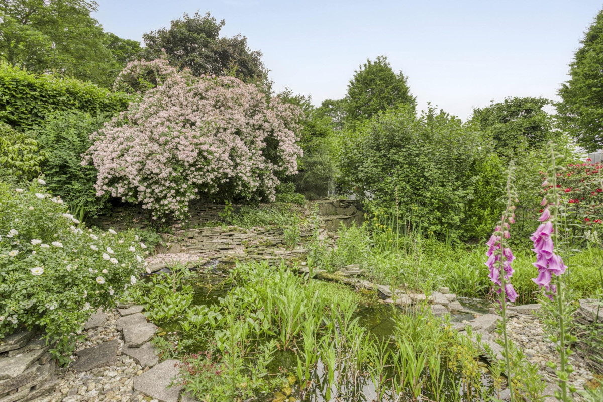 Garten Naturteich