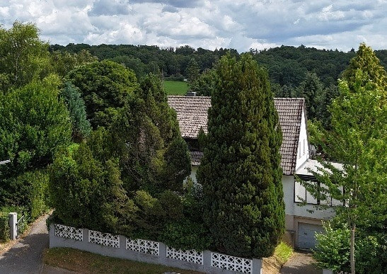 Außenansicht 2