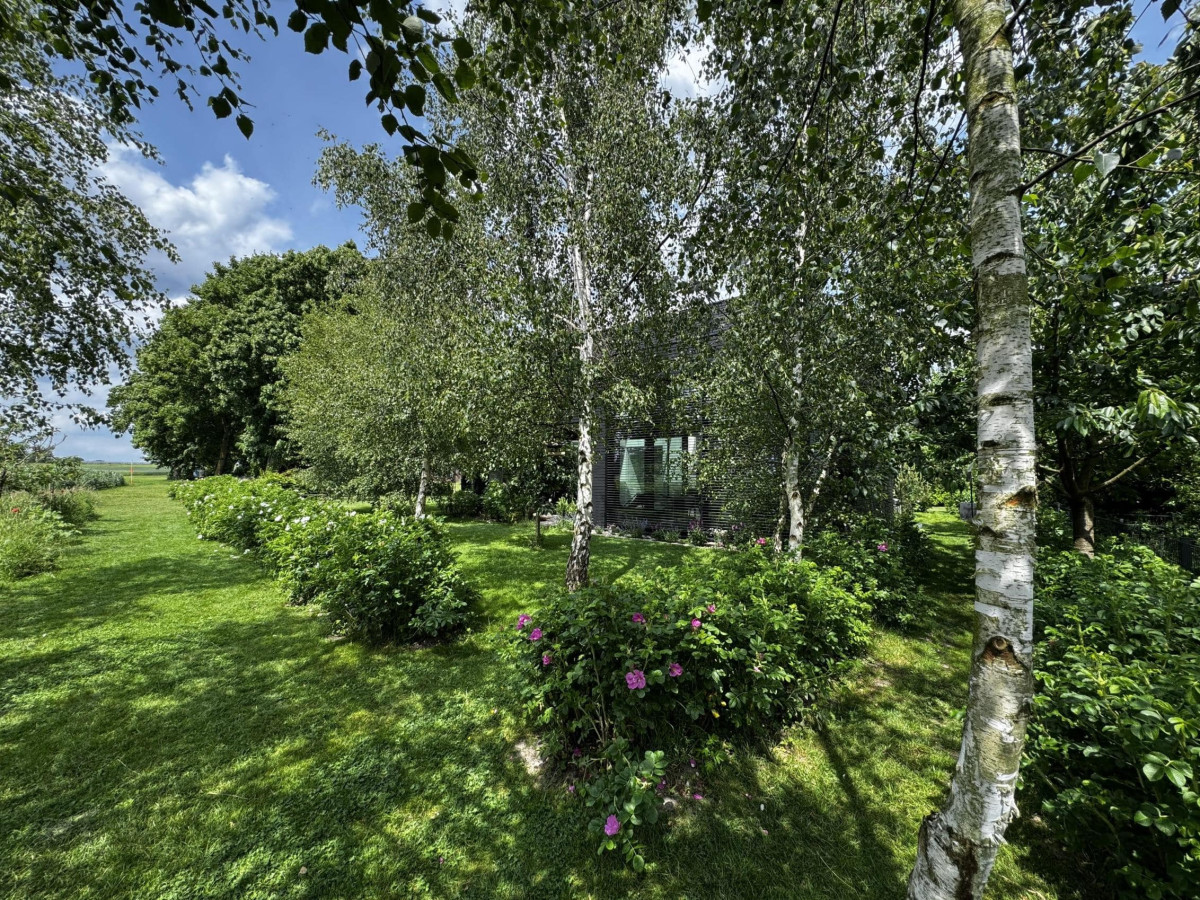 Garten…