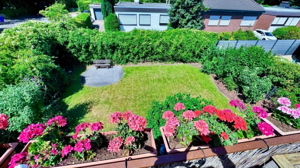 Blick in den Garten