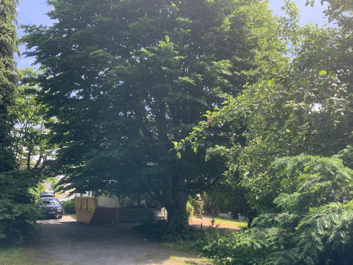 Gartenansicht