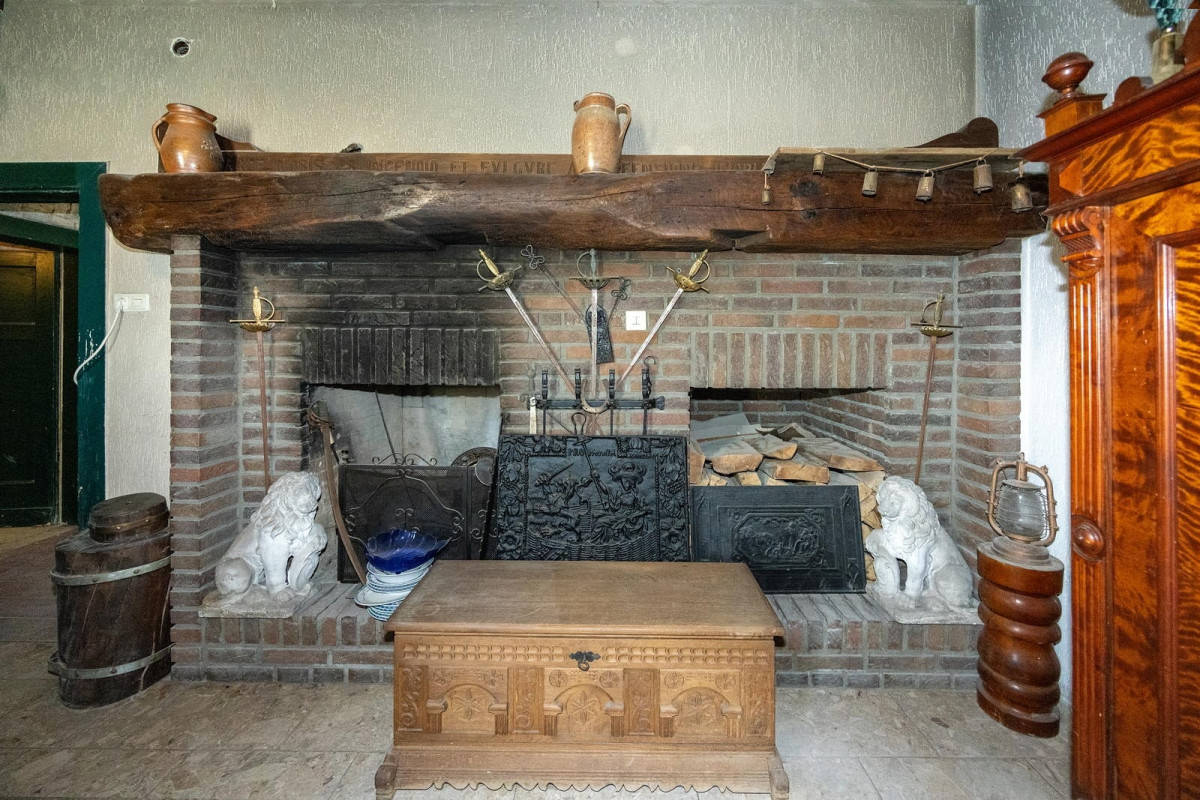 EG: Wohnen/Küche, Kamin