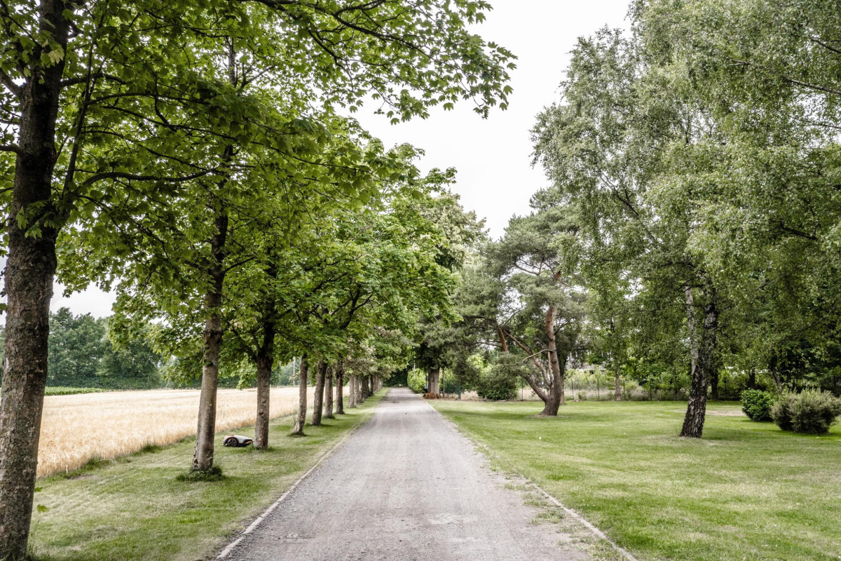 Private Allee zum Objekt