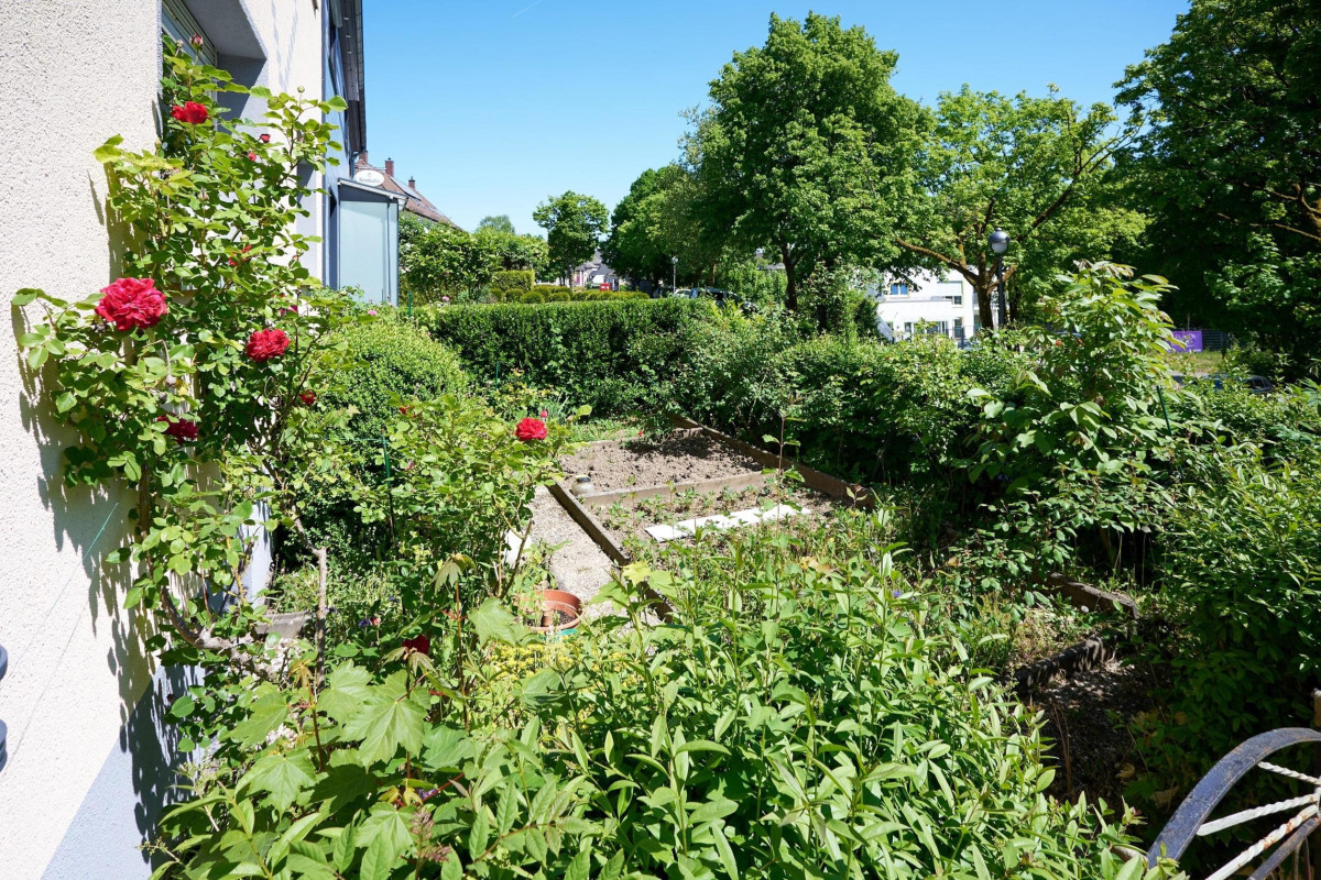 Gartenfläche vor dem Haus