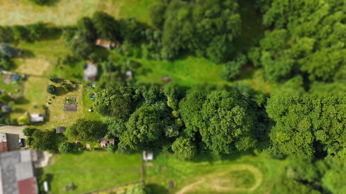 Waldstück
