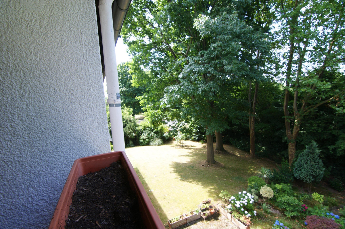 Blick in den Garten