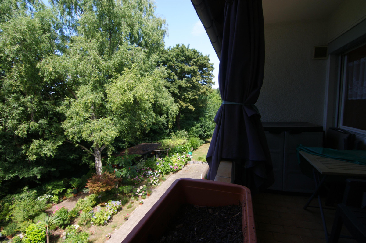 Blick in den Garten