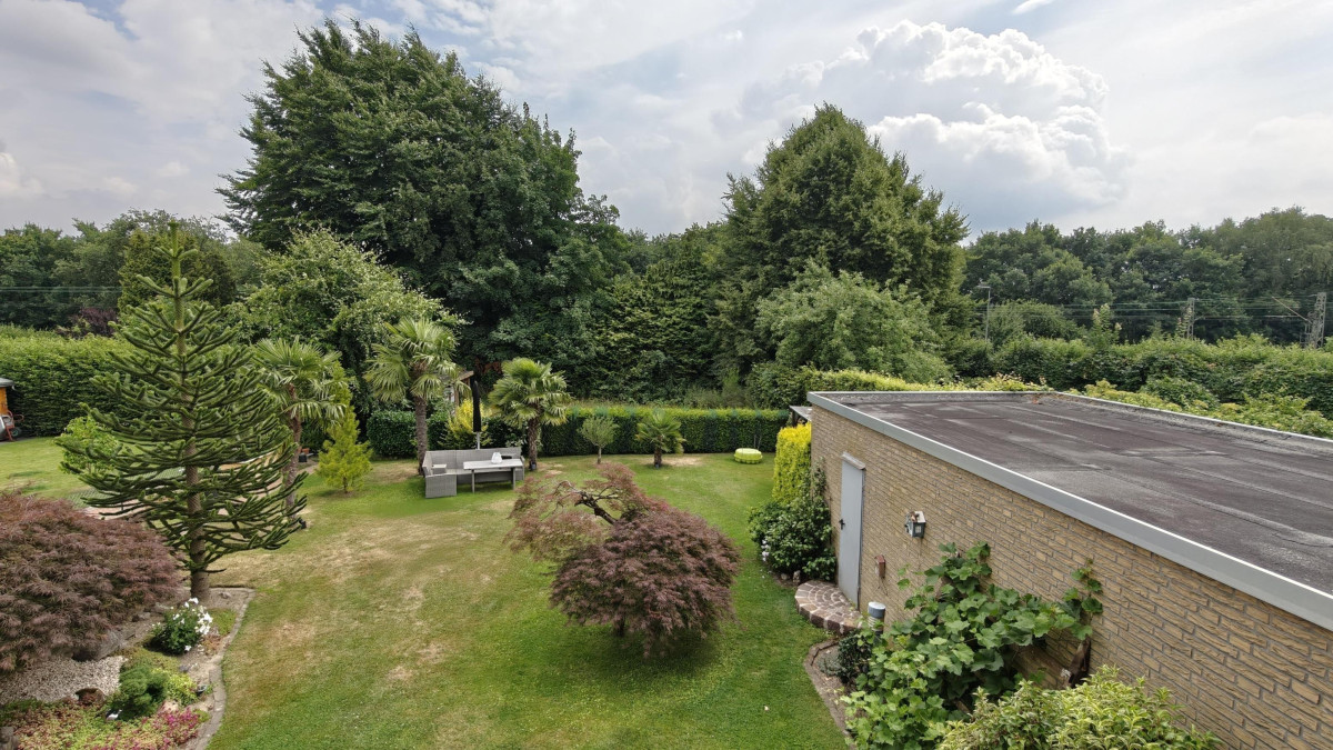 Blick in den Garten