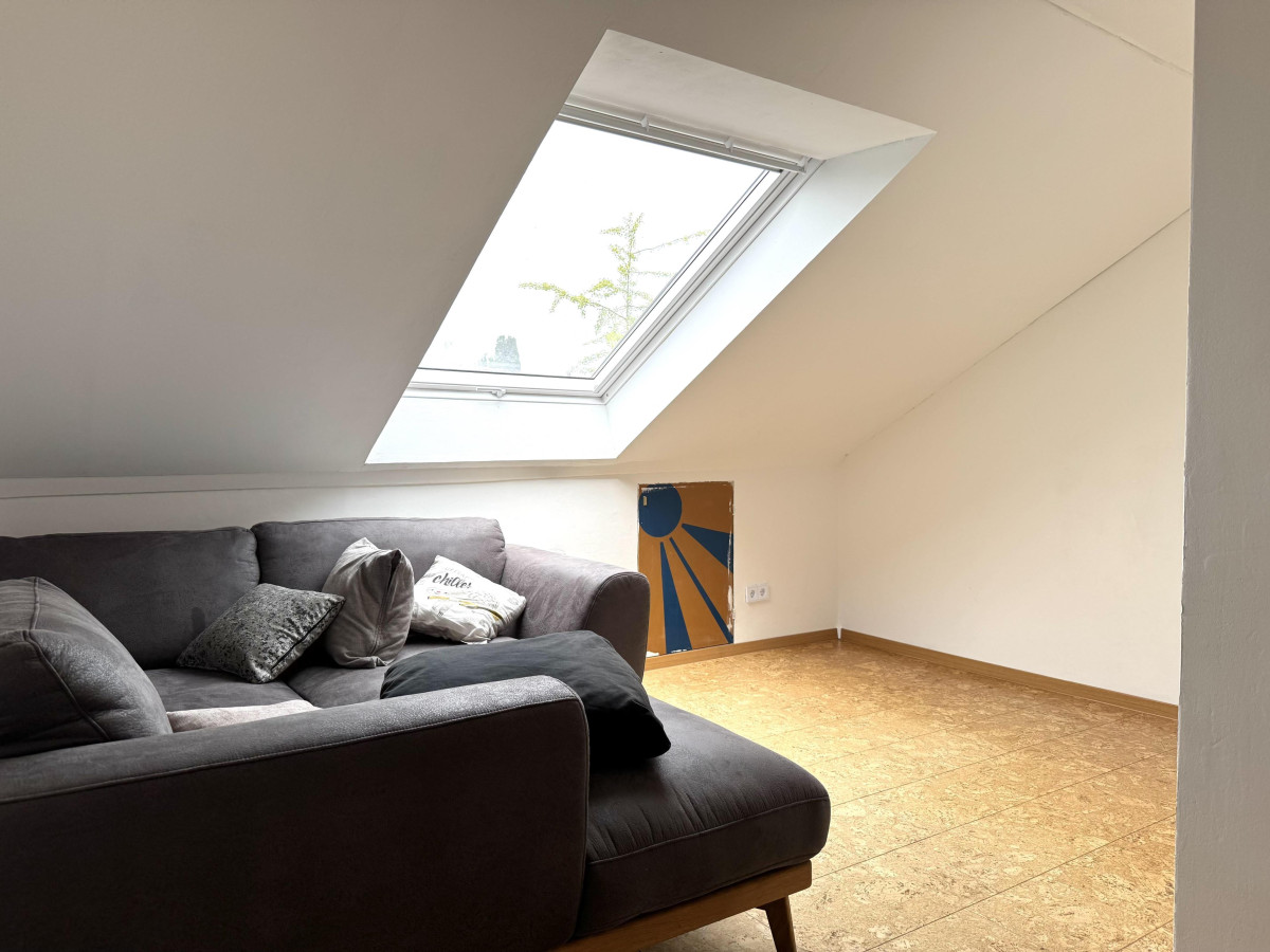 Zimmer DG
