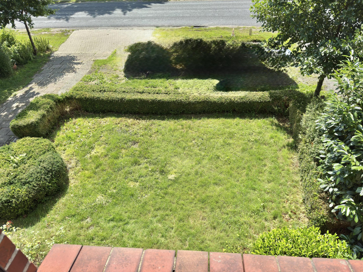 Garten Vorne