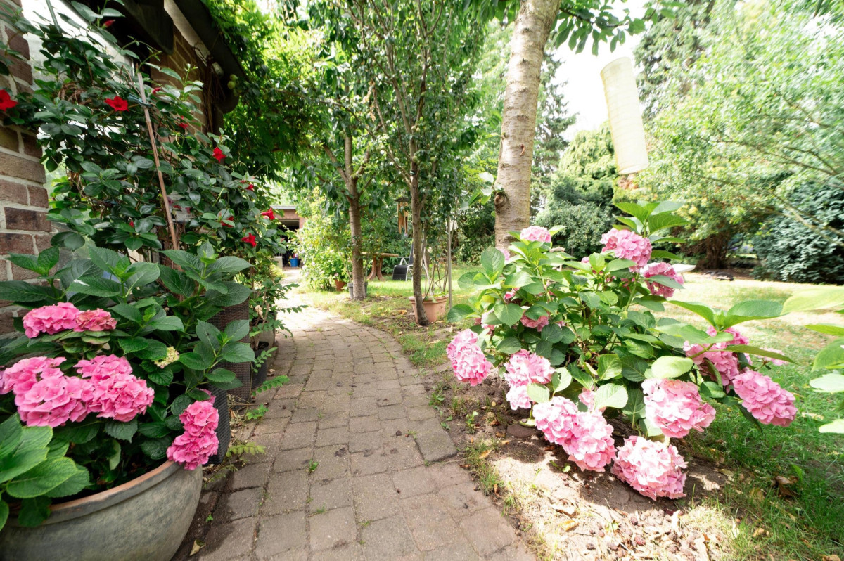 Gartenansicht
