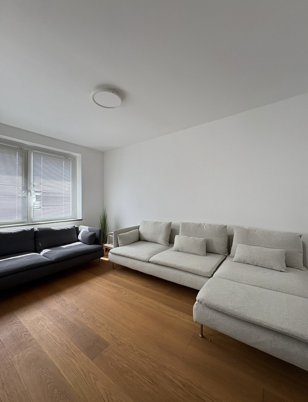 Wohnzimmer / Küche