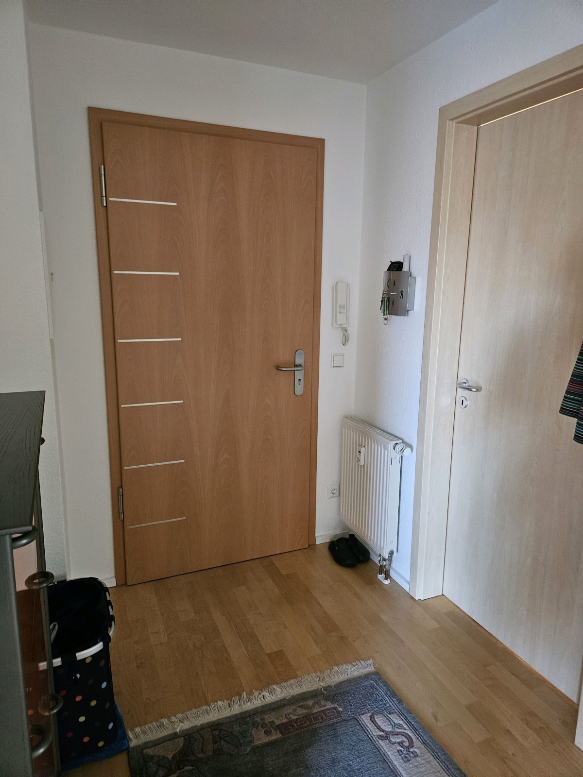 Wohnungseingang zum Flur
