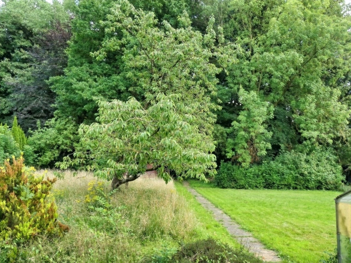 Aussenansichten